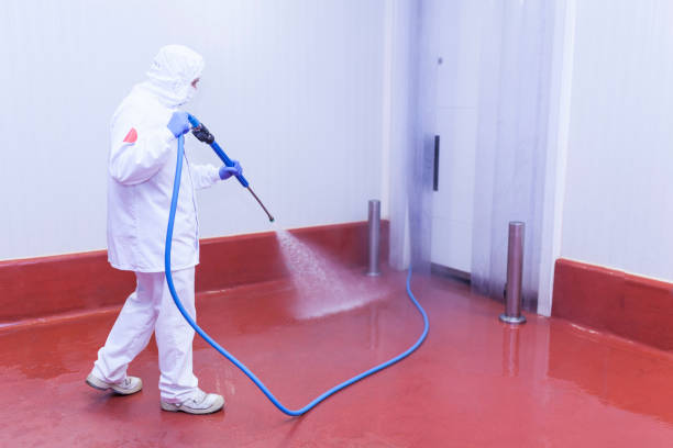 Best Post-Construction Pressure Washing  in Knightstown, IN